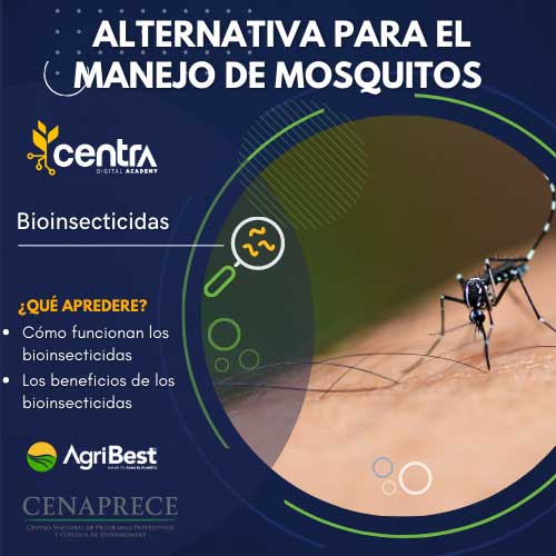 Bioinsecticidas como alternativa para el manejo sustentable de mosquitos vectores de enfermedades transmisibles