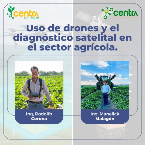 Uso de drones y el diagnóstico satelital en el sector agrícola