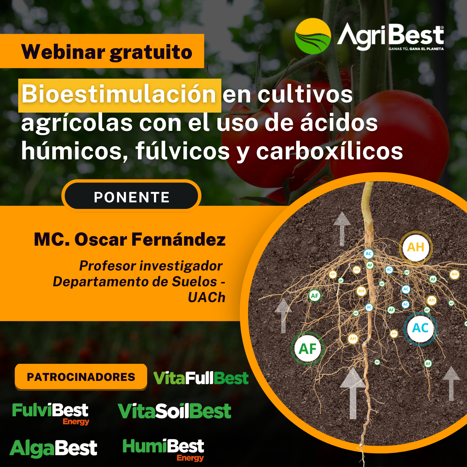 Bioestimulación en cultivos agrícolas con el uso de ácidos húmicos, fúlvicos y carboxílicos